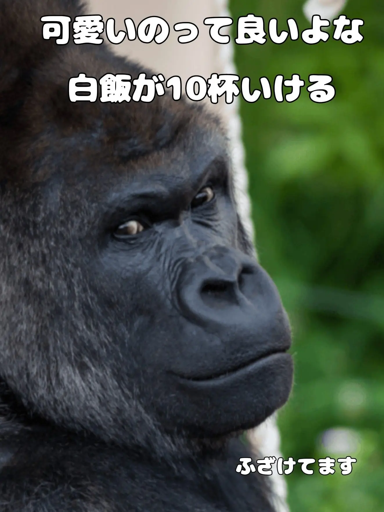 Tamago5의 皆可愛いよな