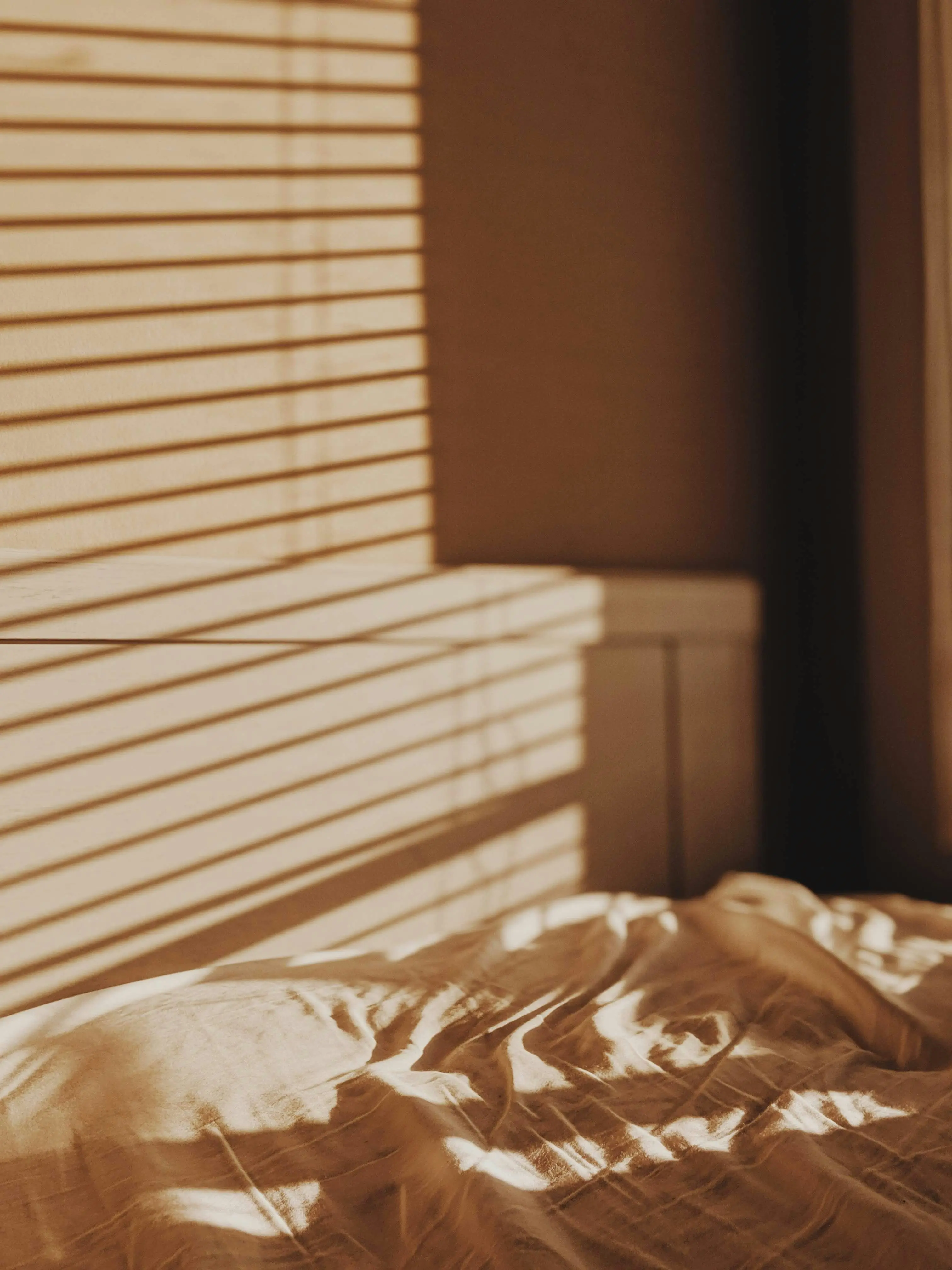 msg_1113의 Sunlit House