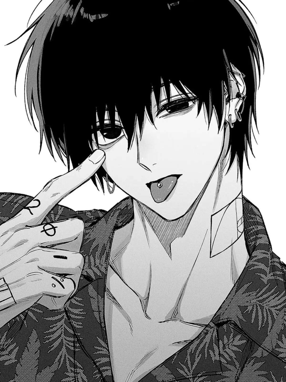 Dlcoals의 이해성