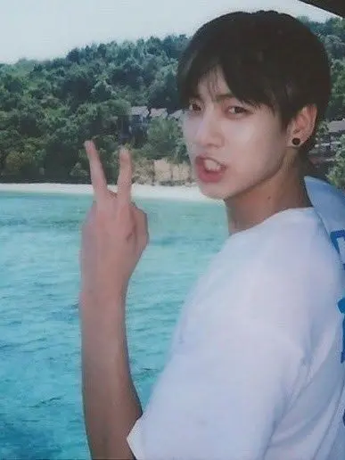 jungkooknvrmiss의 sparked vinyls