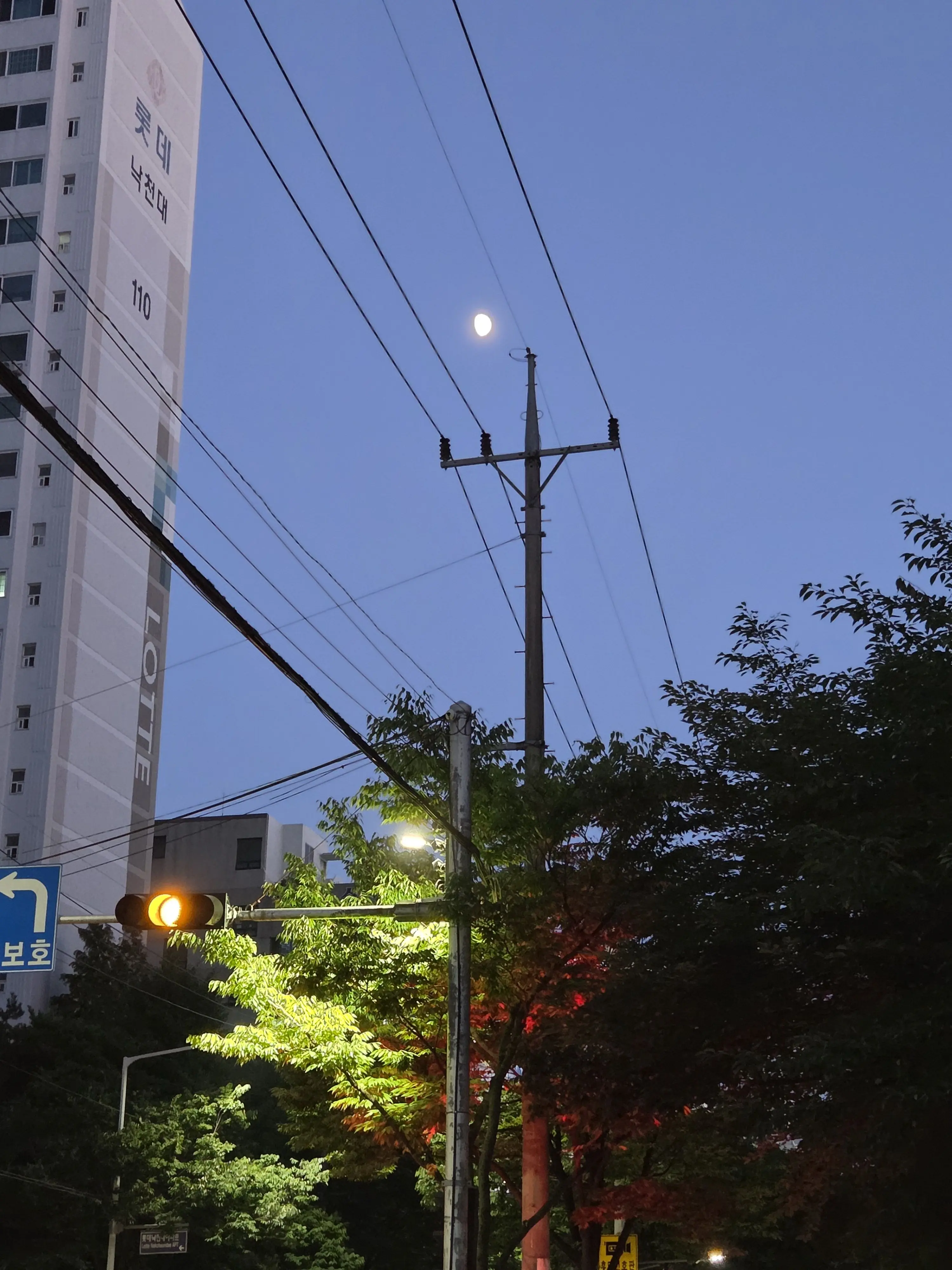 DirtyTaxi5150의 10B랑 남매임
