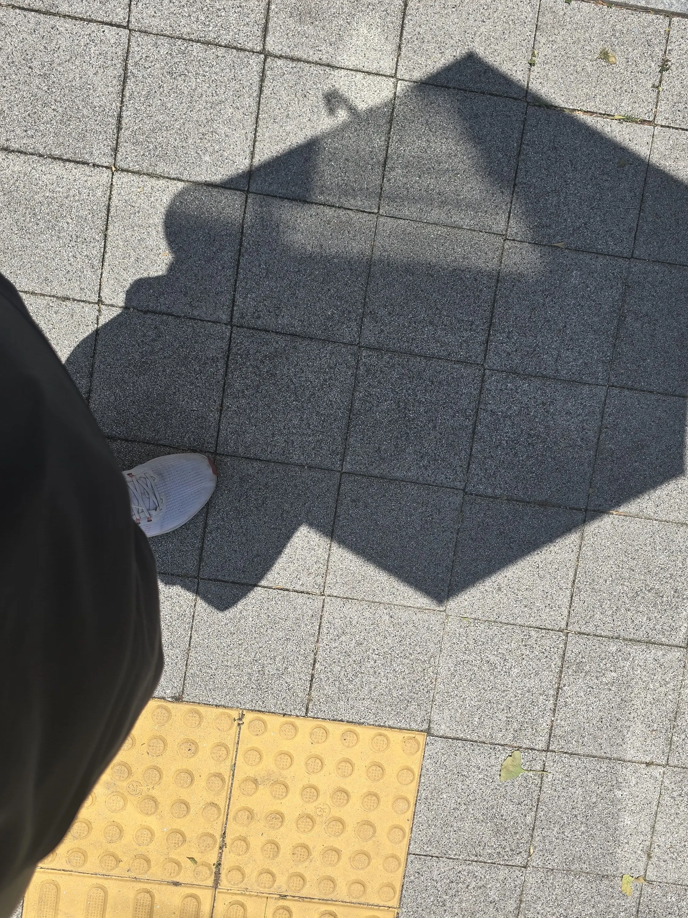 mat0_t0_58의 최상엽