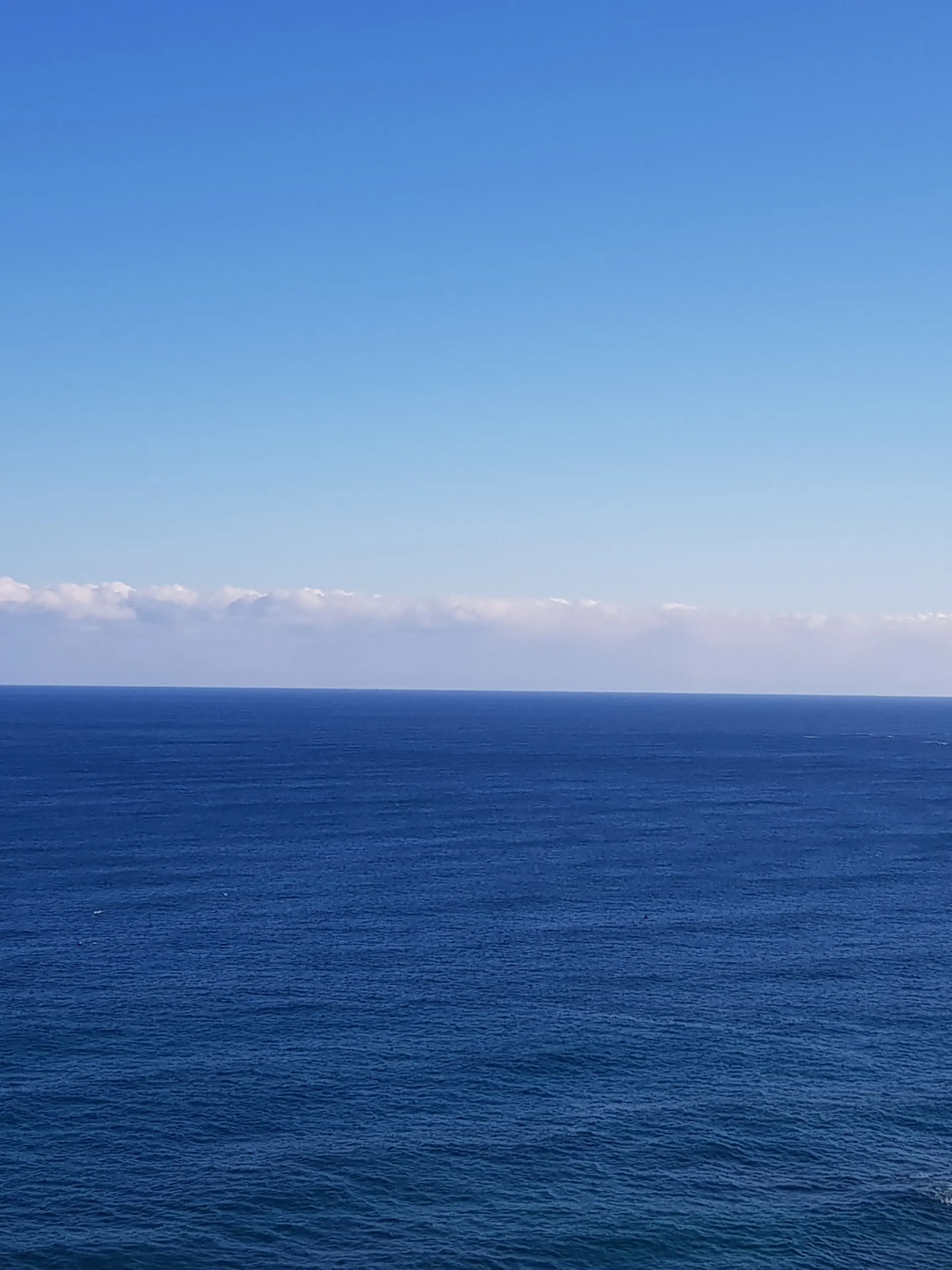 NutmegWaist9816의 김승민