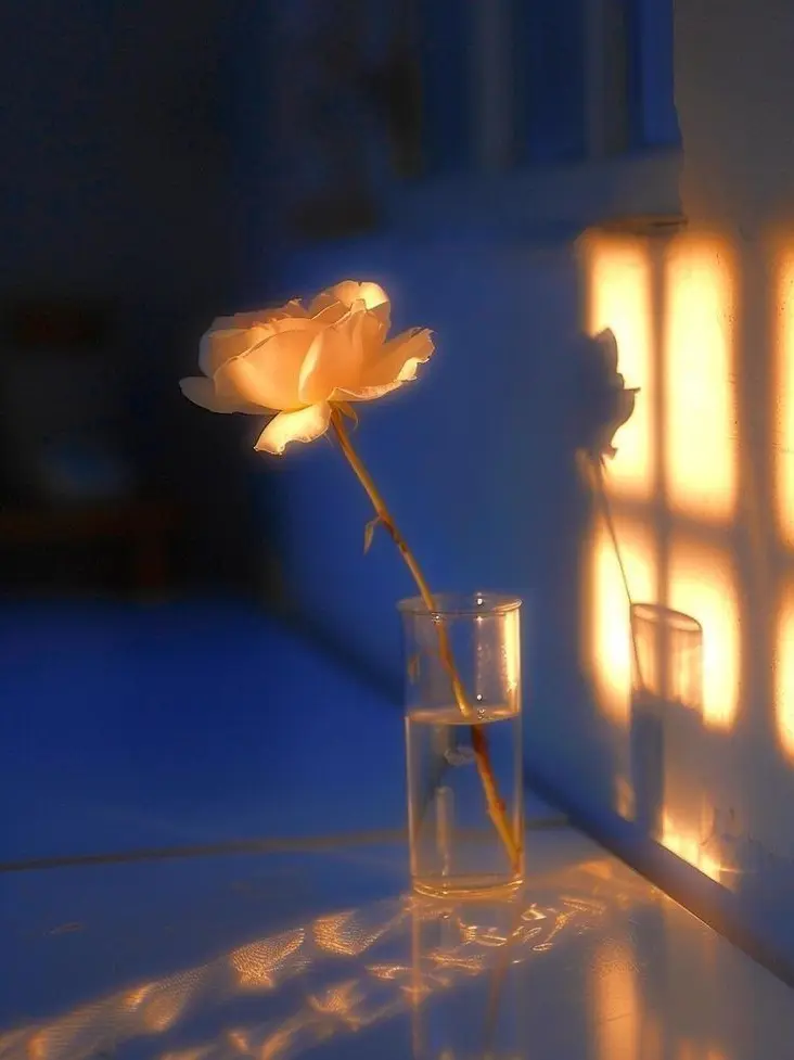 goat.2850146의 기억 상실증