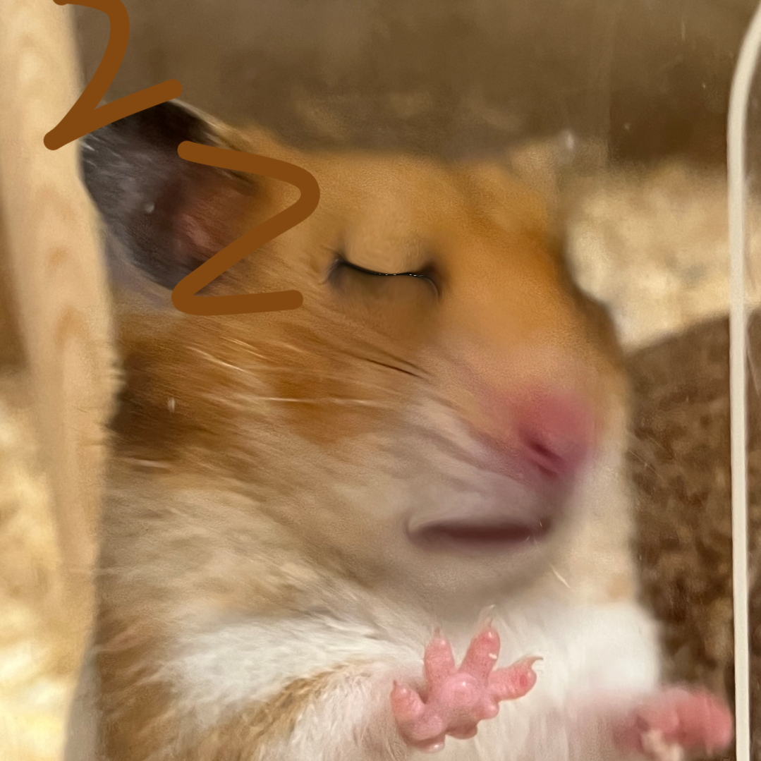 게시판 대표 이미지