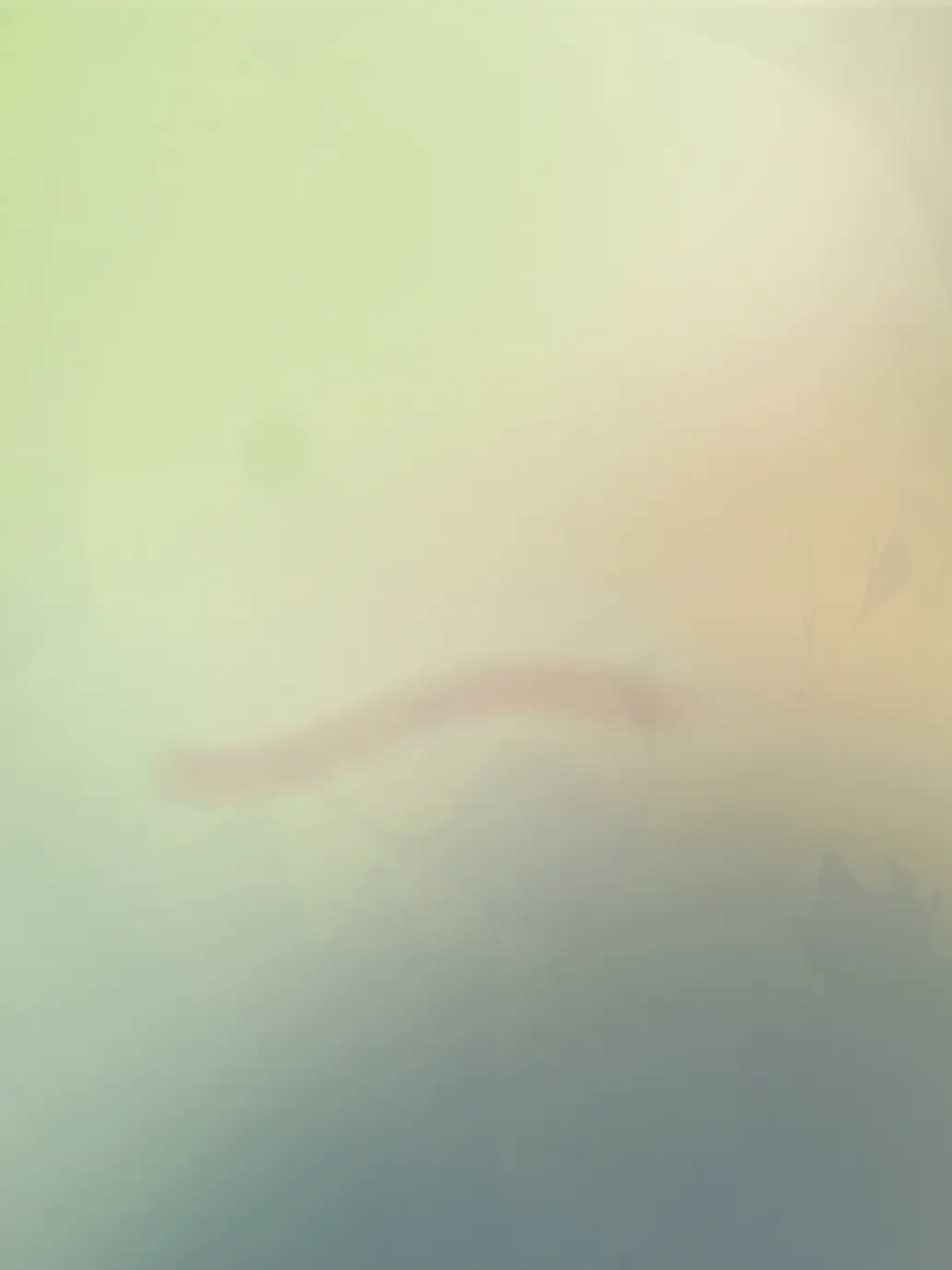 RoundFloor8112의 5知将が生理男子！