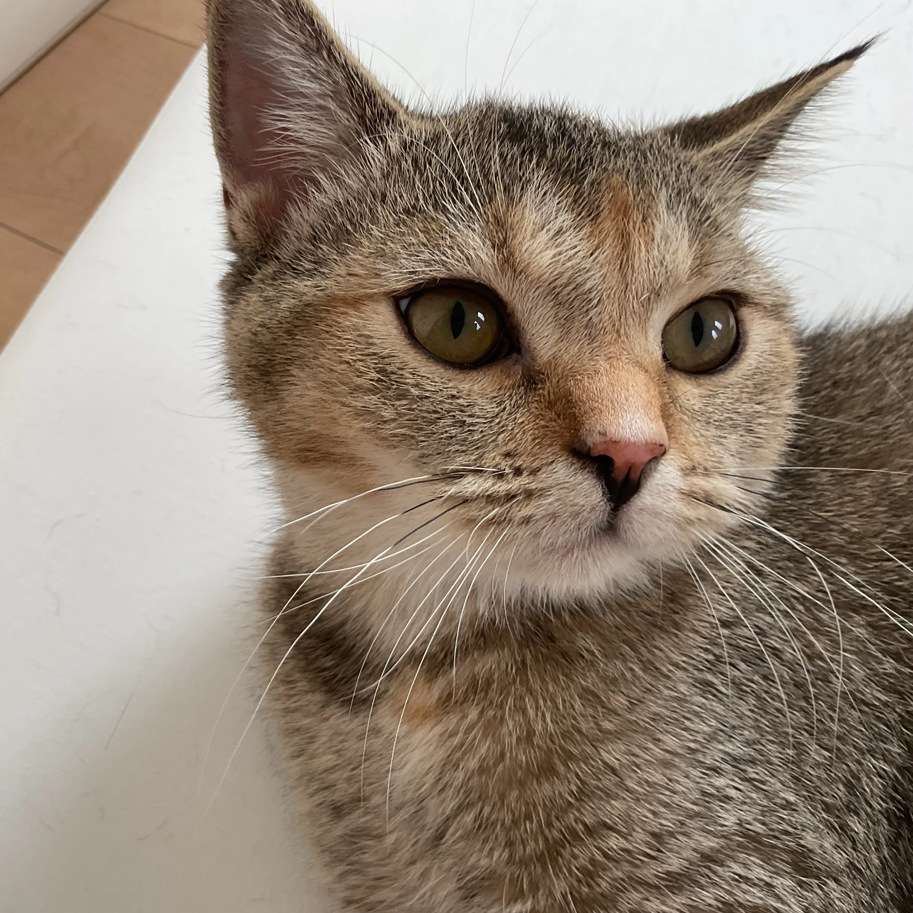 ただの愚痴吐く場所