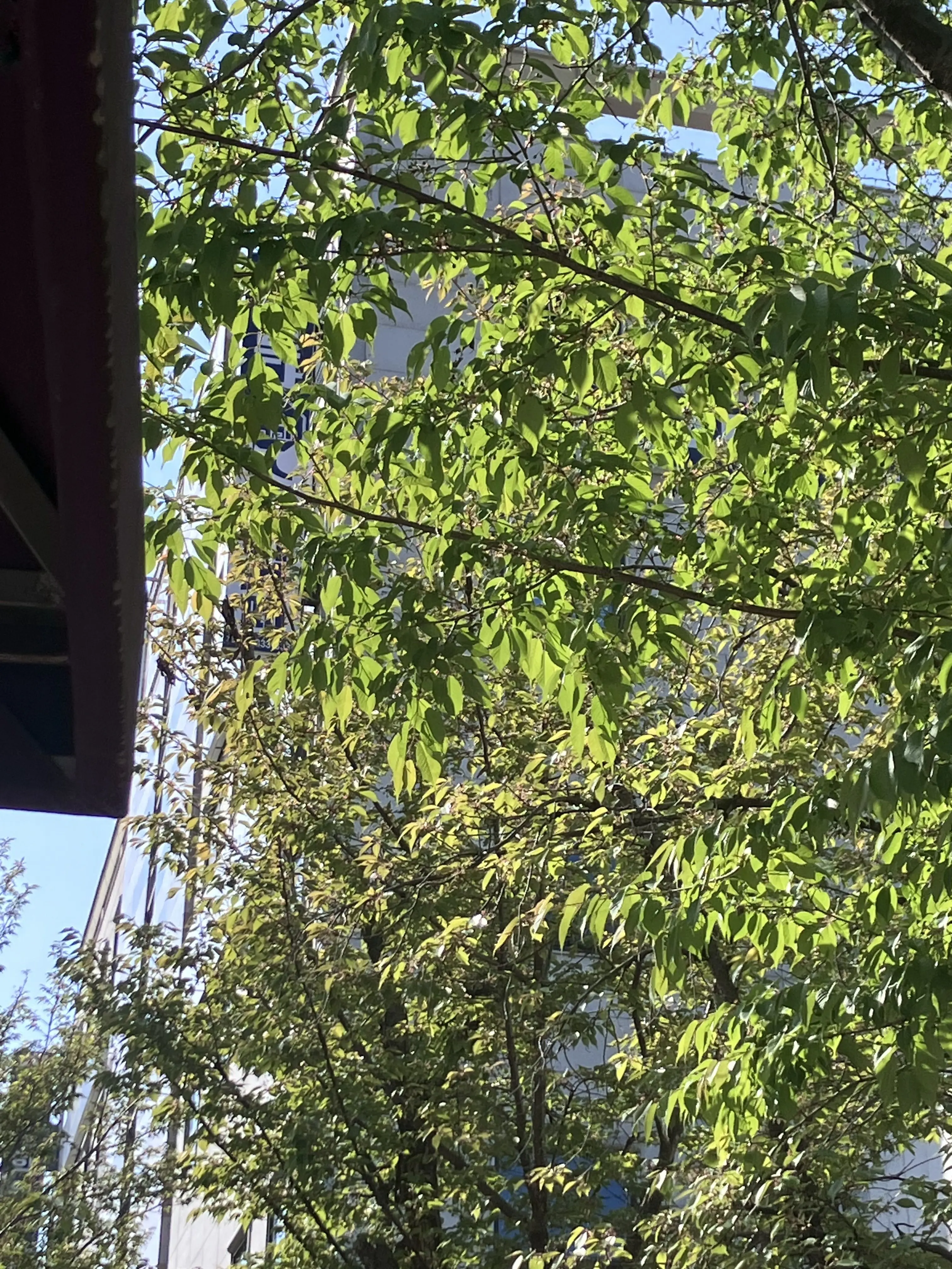 bahyun_0829의 사심