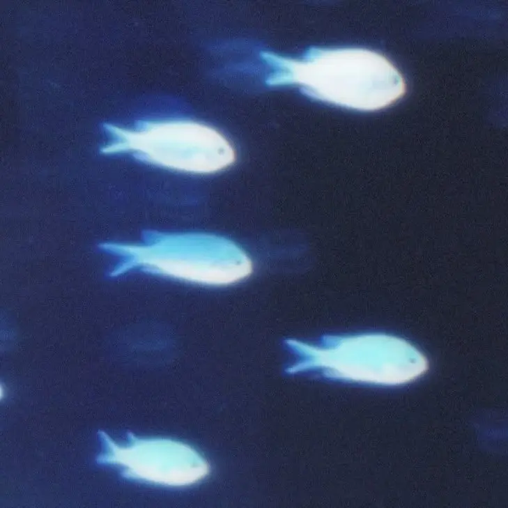 OD_com094의 당신의 파트너, 워터플래그 각별