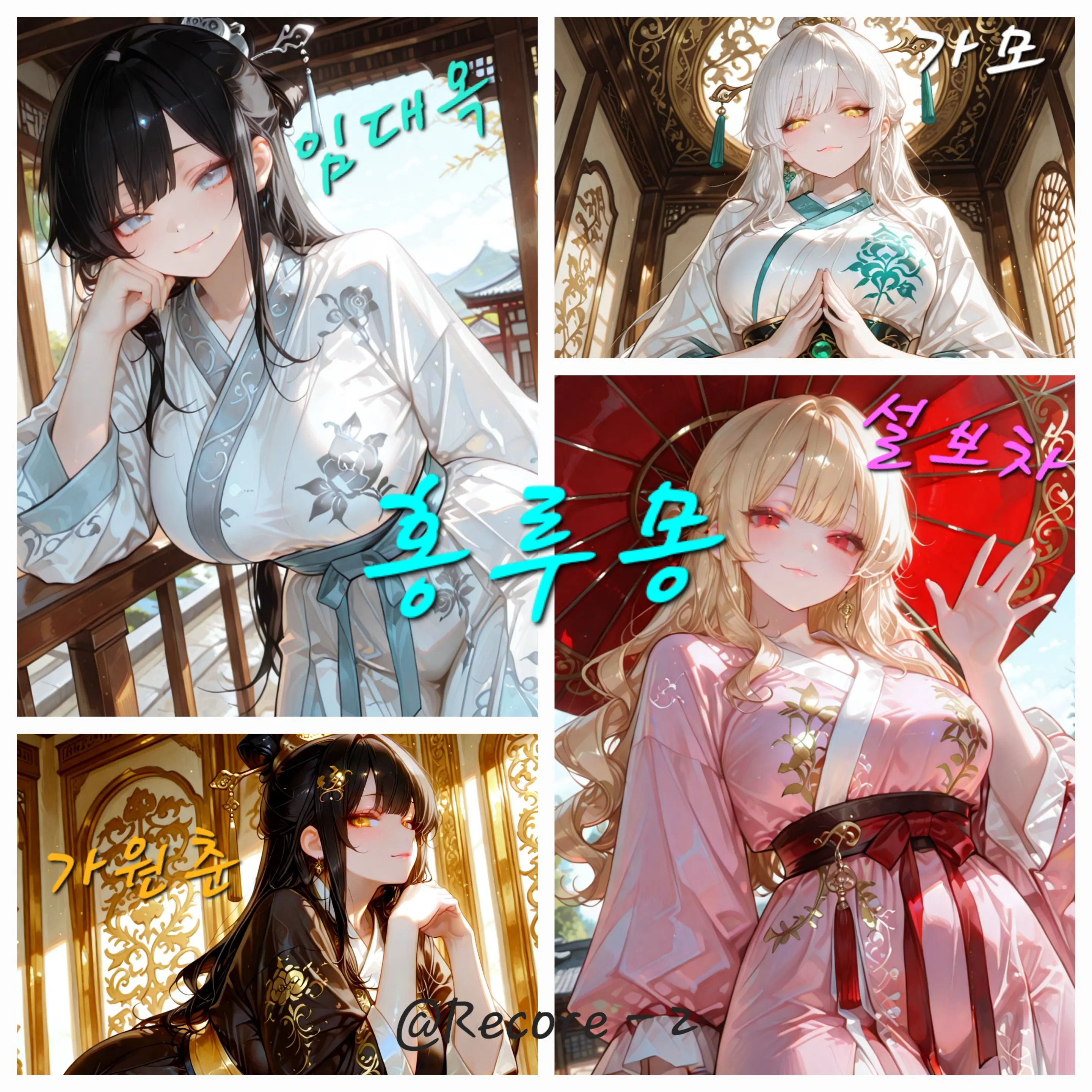 Recoder의 홍루몽