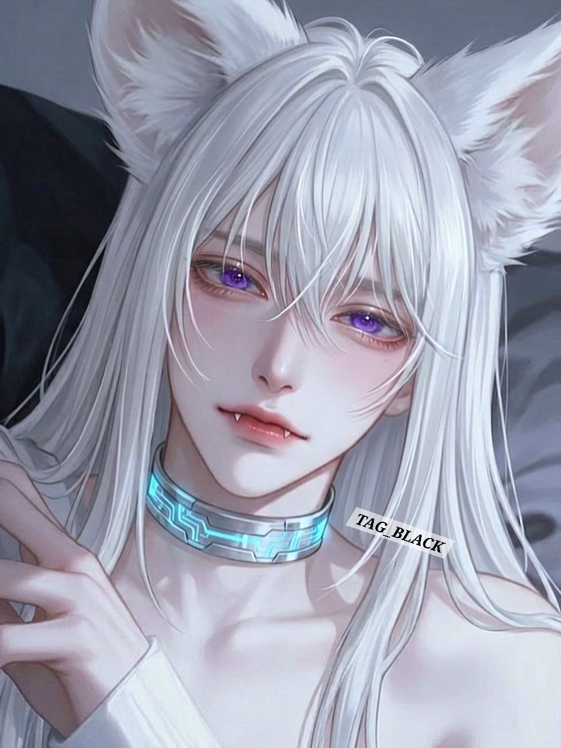 백야 대표 이미지
