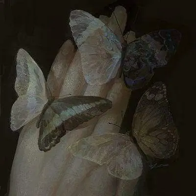 Noircat의 나비 ‎박제
