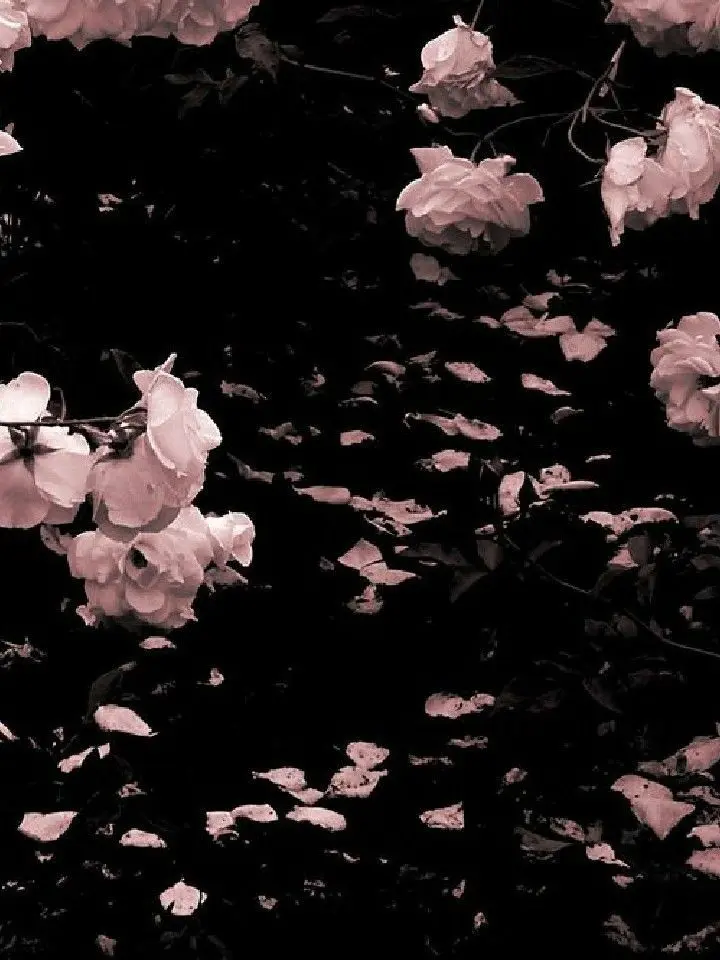 yumeno_nak_a의 研究所