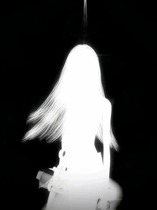 rer0q의 ネット民