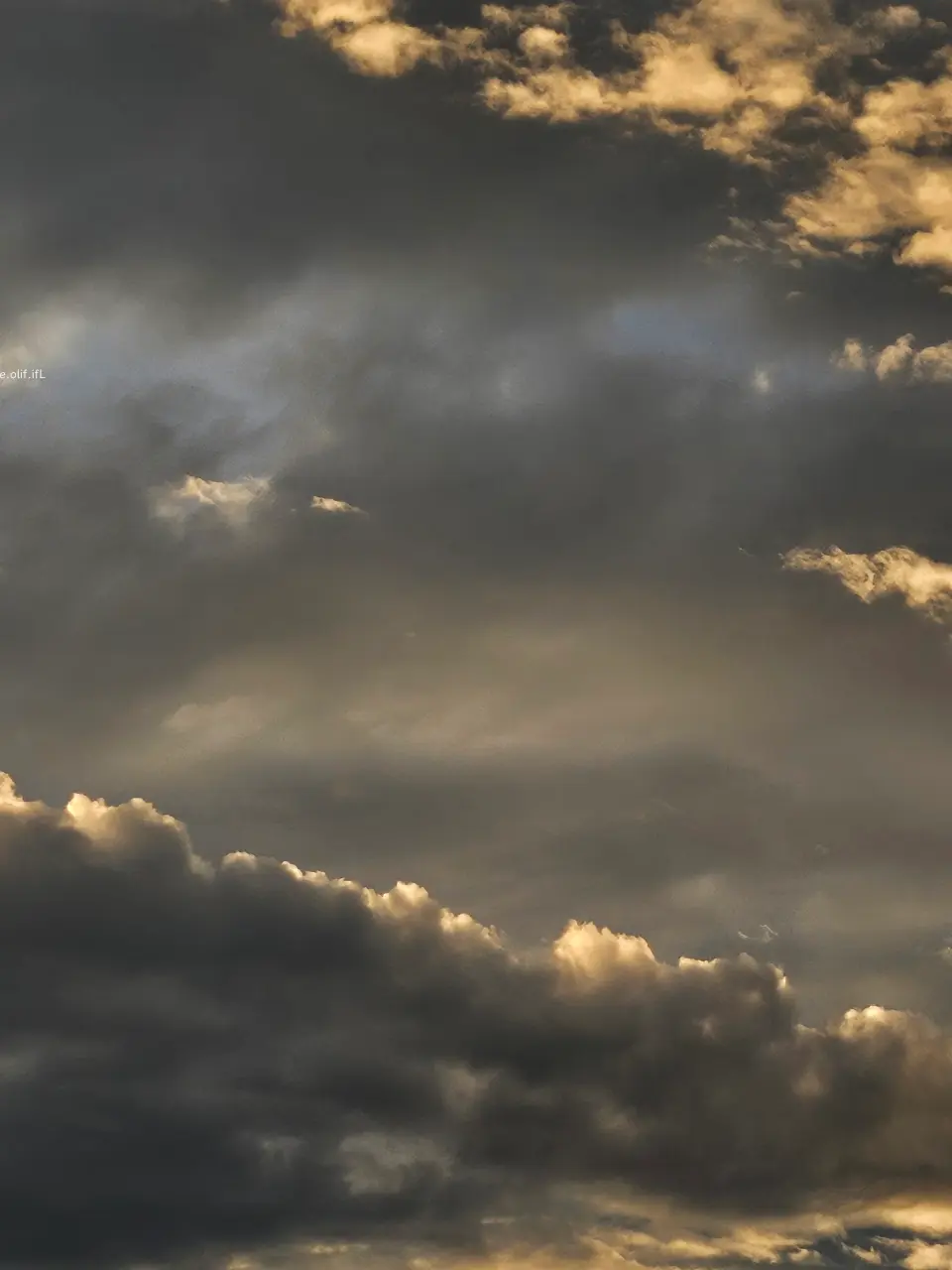ifL.ee.olif.ifL의 Iro Cloud