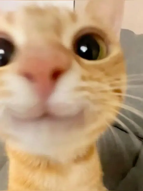 love_0222opera의 어린 수인오페라 키우기;;