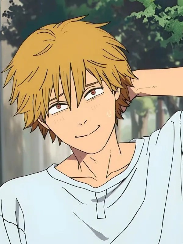 yagamipilldd의 denji ⊹ ࣪ ˖