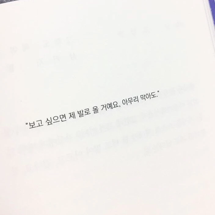 할로윈의 선물