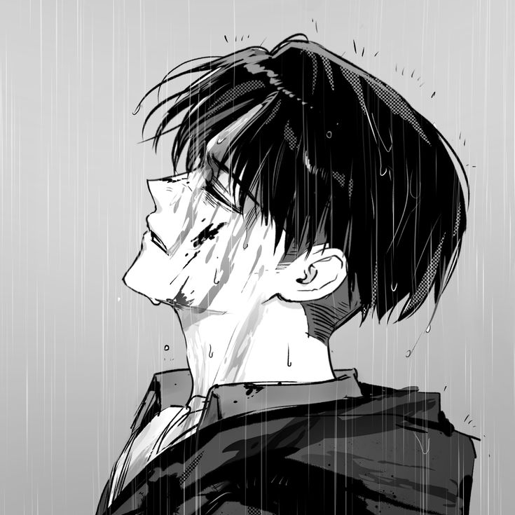 리바이 아커만 대표 이미지
