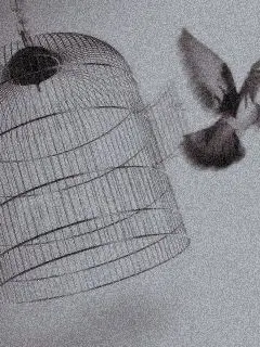 C56oo의 견리망의[見利忘義]