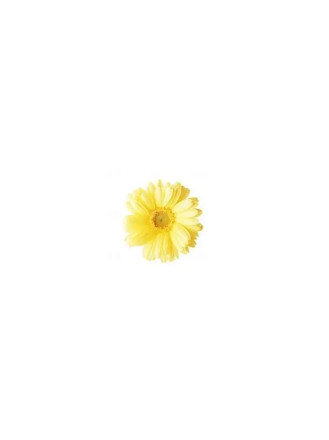 kusou00.1의 甘々なよしだじんと