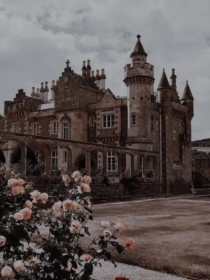 PrincessCadance의 The Knight Family