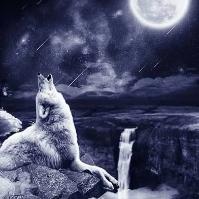 엔젤이 귀신 코스프레 한걸봐버린 당신