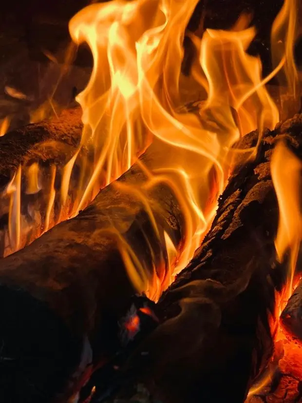 GoodEmoji666의 팀 샐러드 (초능력)