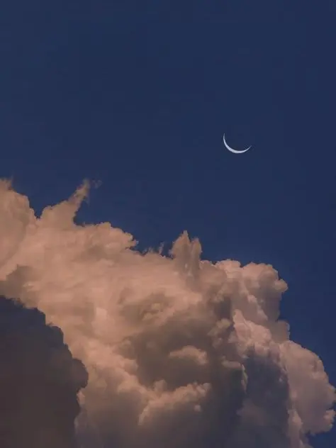 SleekHeron7203의 신비아파트+여우(강력한:2)