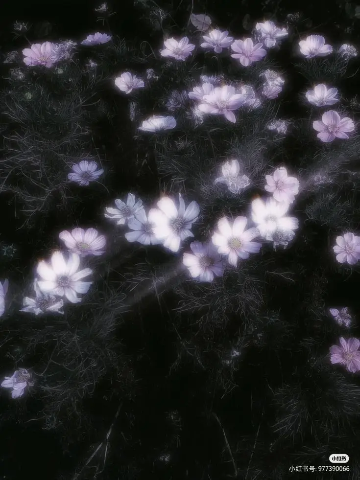 Pihyu.7k의 악마가 착하면 안되는 이유