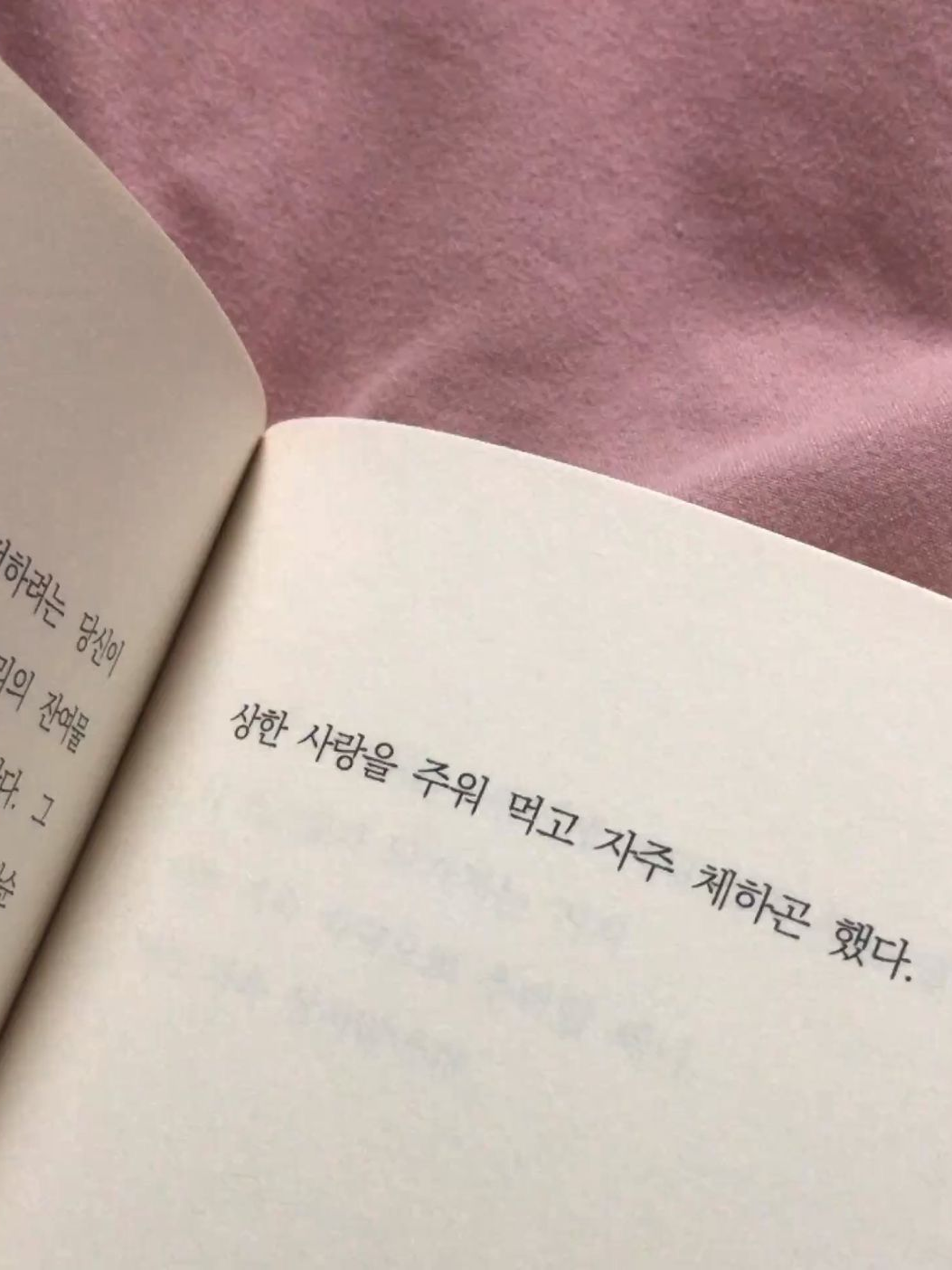 상한 사랑을 주워먹고 대표 이미지