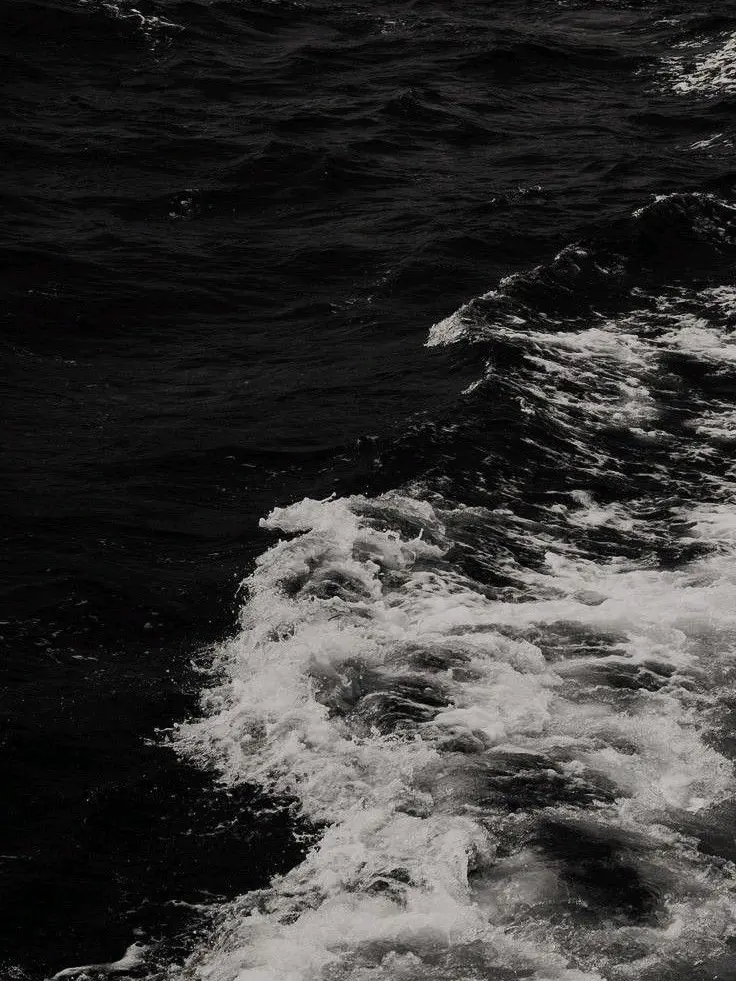 momozzandesu의 크로커다일