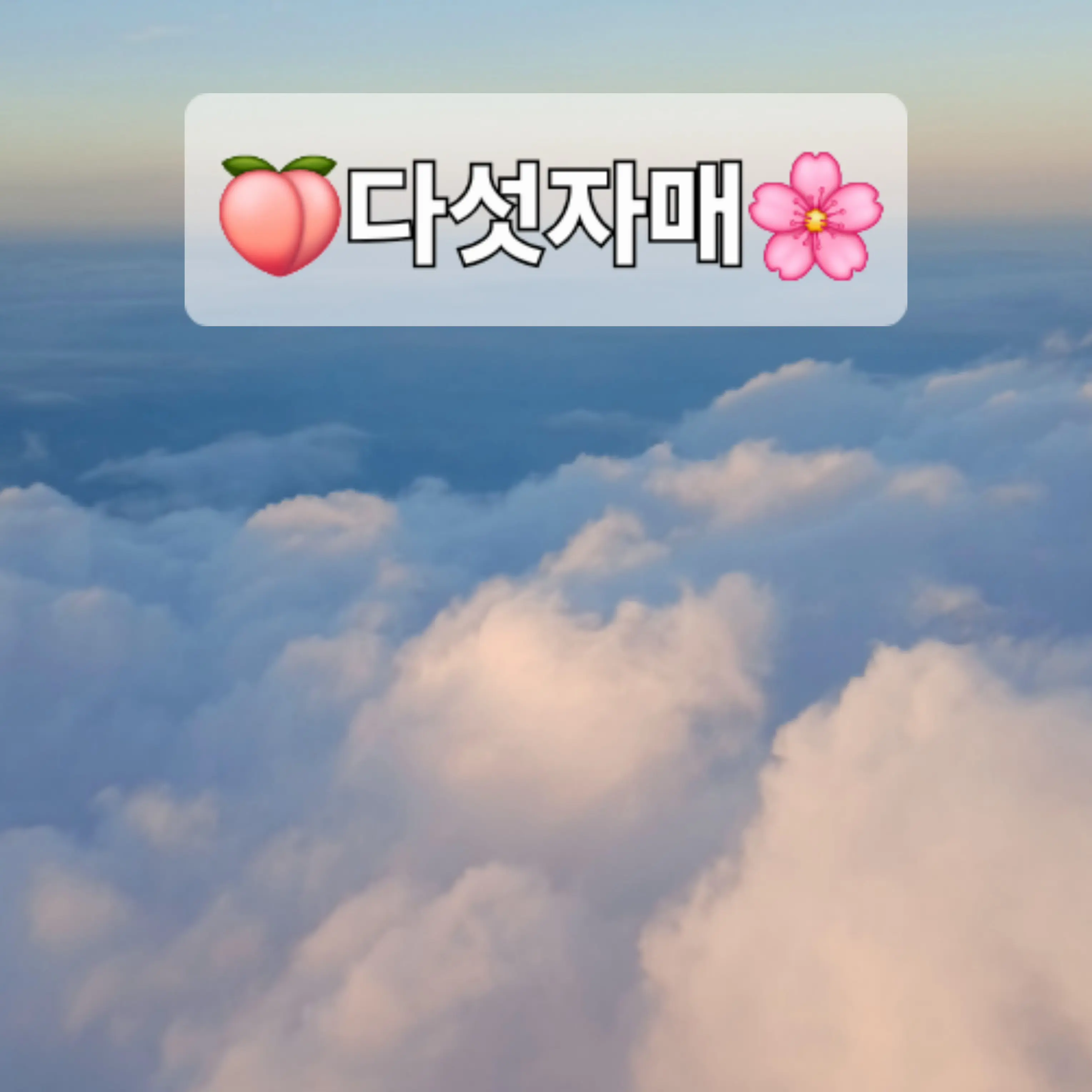 BusyFinch7870의 🍑5섯자매🌸