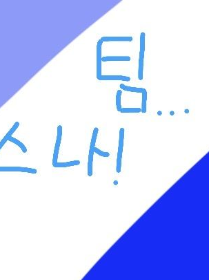 팀 스나 대표 이미지