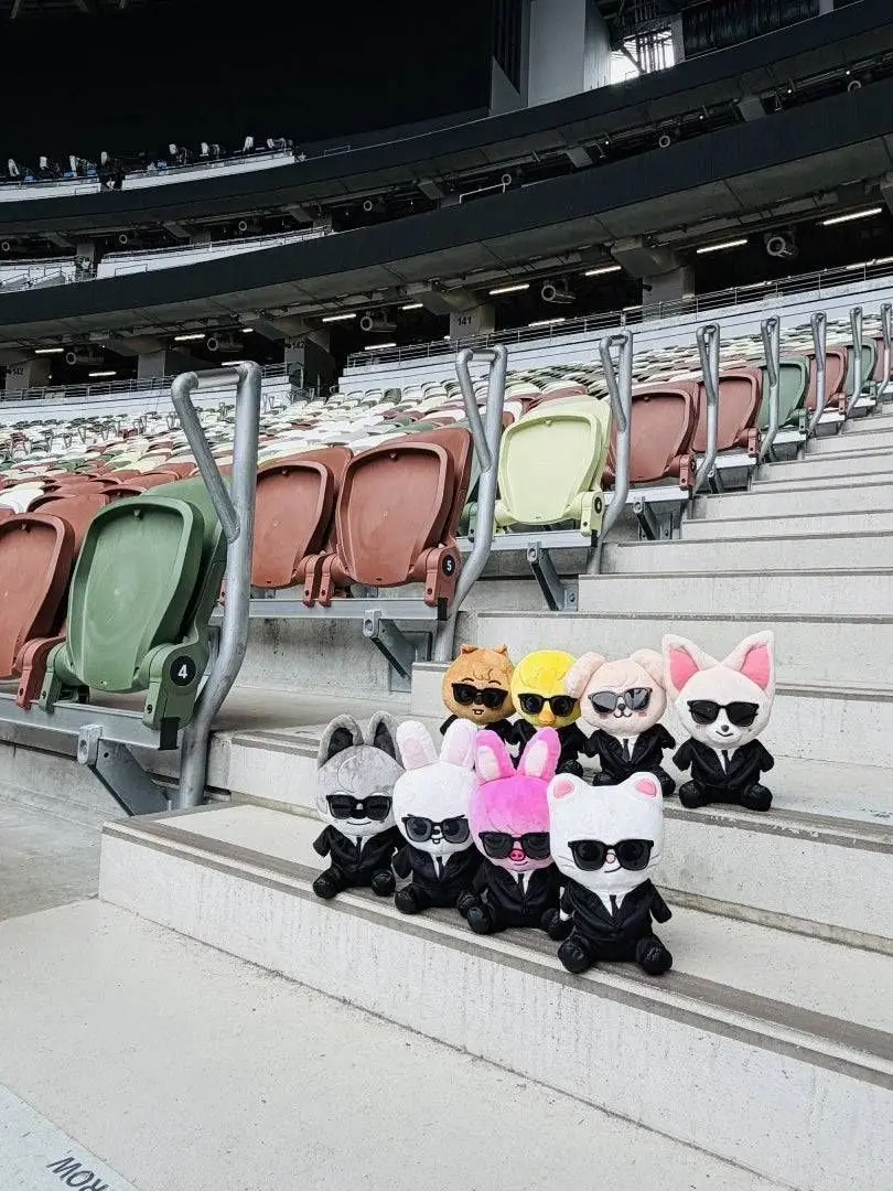 town_1180의 You're a member of SKZ.