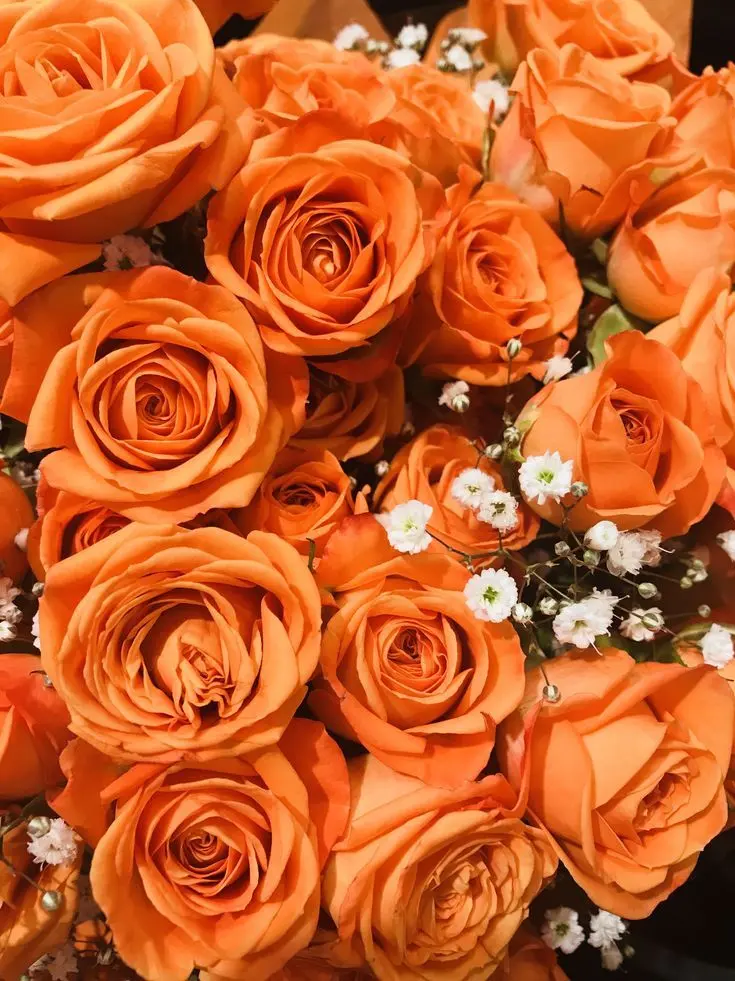 dpxnp의 마녀와 두 조수