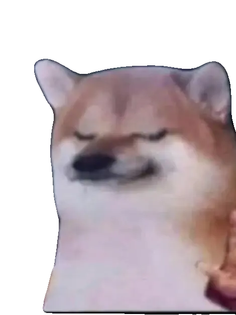 nengcham의 자캐와 동거ㅓㅓㅓㅓ