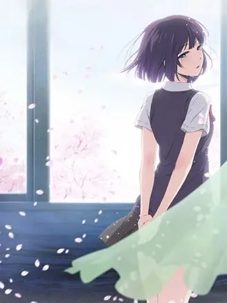 SalmonClock6613의 安楽岡花火