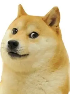 _Nupe_27의 염병에 걸린 잼민이들