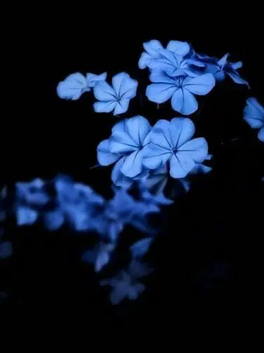 DemureVeery1546의 ❃