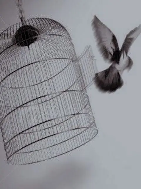 To.yours의 馬鹿な天才だった