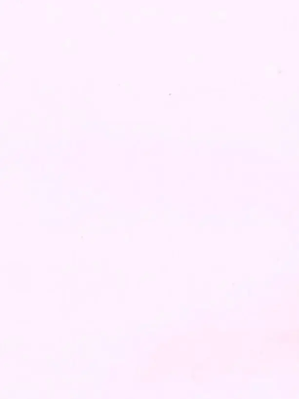 Kara4의 きづいてほしかった