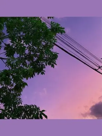 DourMoon8987의 남자 3명에게과보호받는 임신한 나