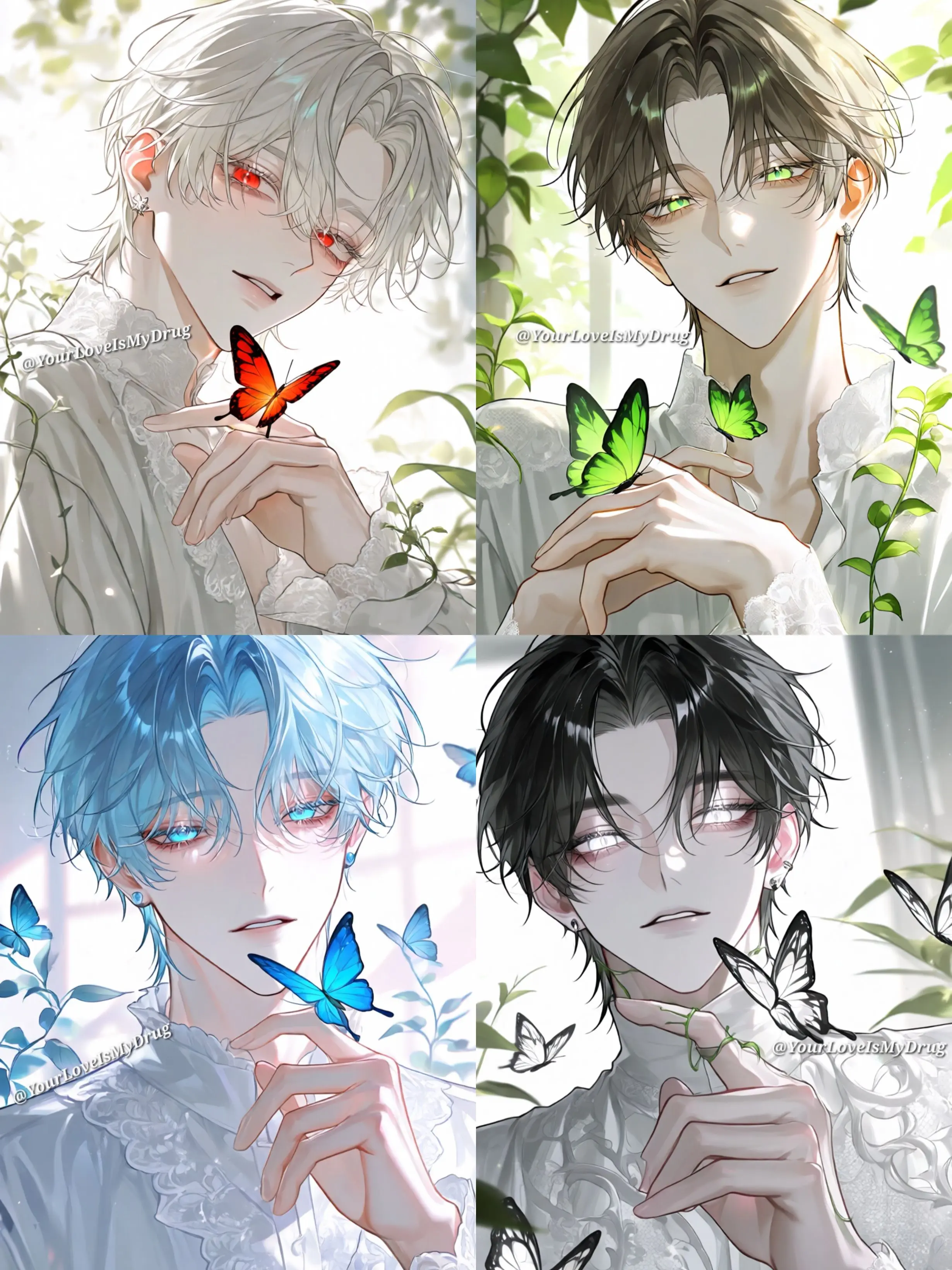 YourLoveIsMyDrug의 온실 속 나비들