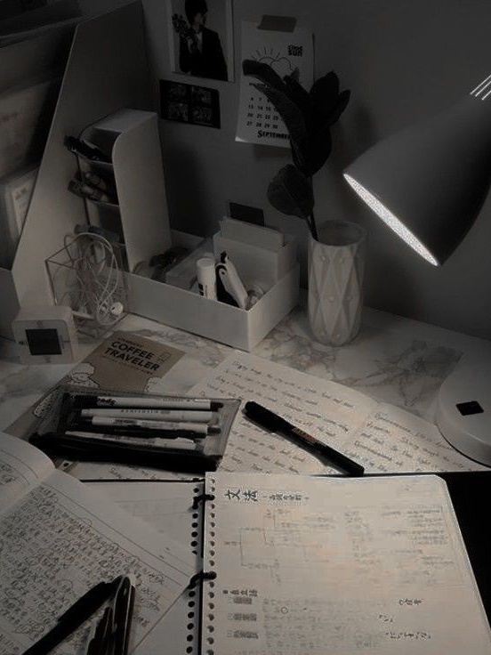 Paradies 대표 이미지