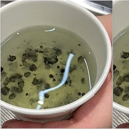 SoggyGlass9384의 음료가 이상해서 항의하려는데 존예??