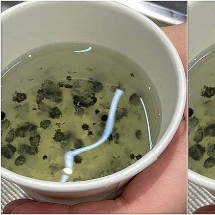 음료가 이상해서 항의하려는데 존예??