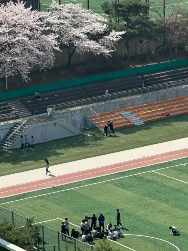 haanaah의 体育の先生