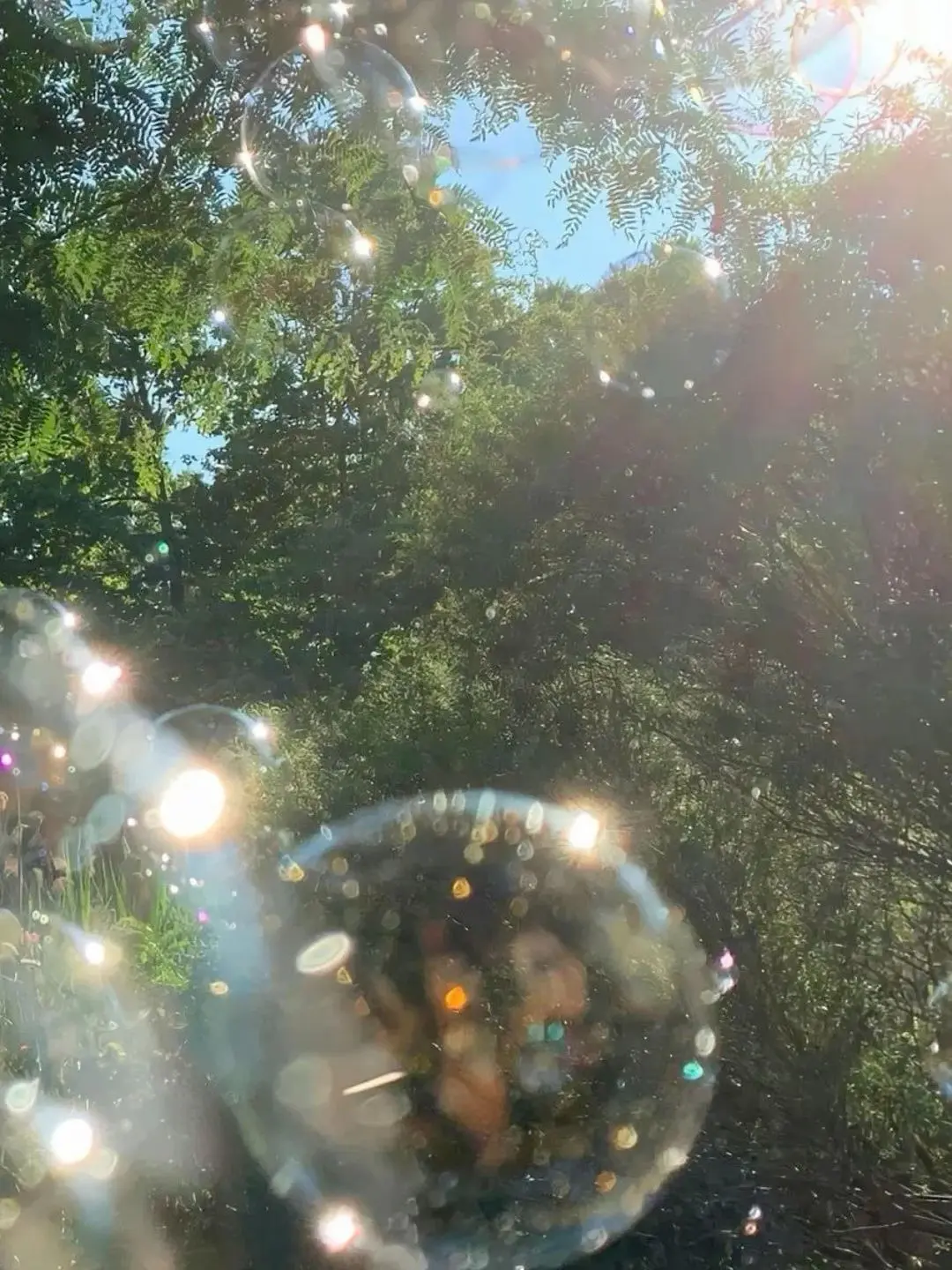 owf.mhr의 決別した過去