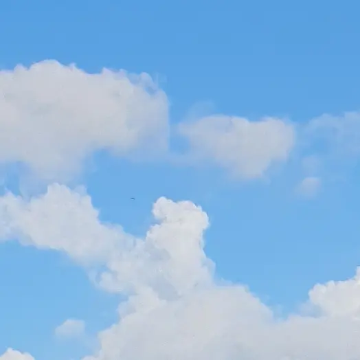 HonestPlane6848의 변비인 당신
